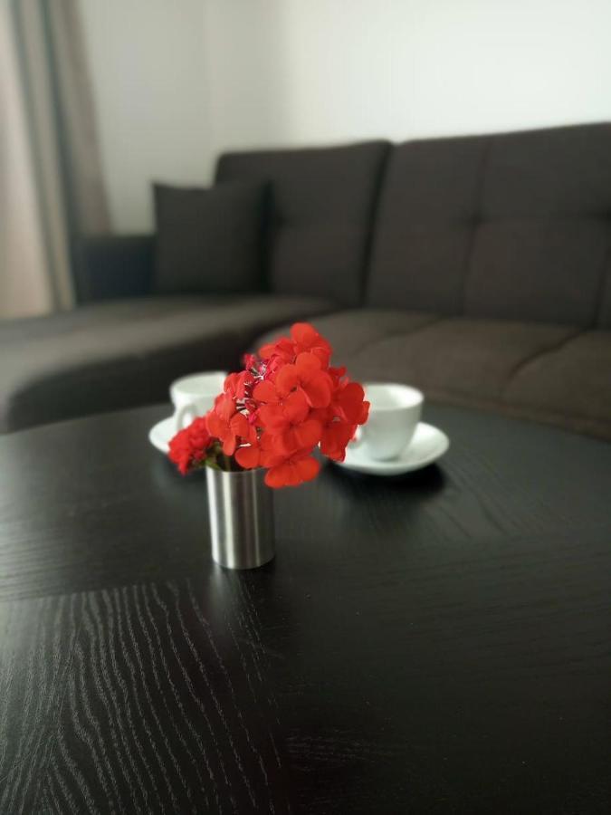 Thea Apartment Agia Marina Екстериор снимка