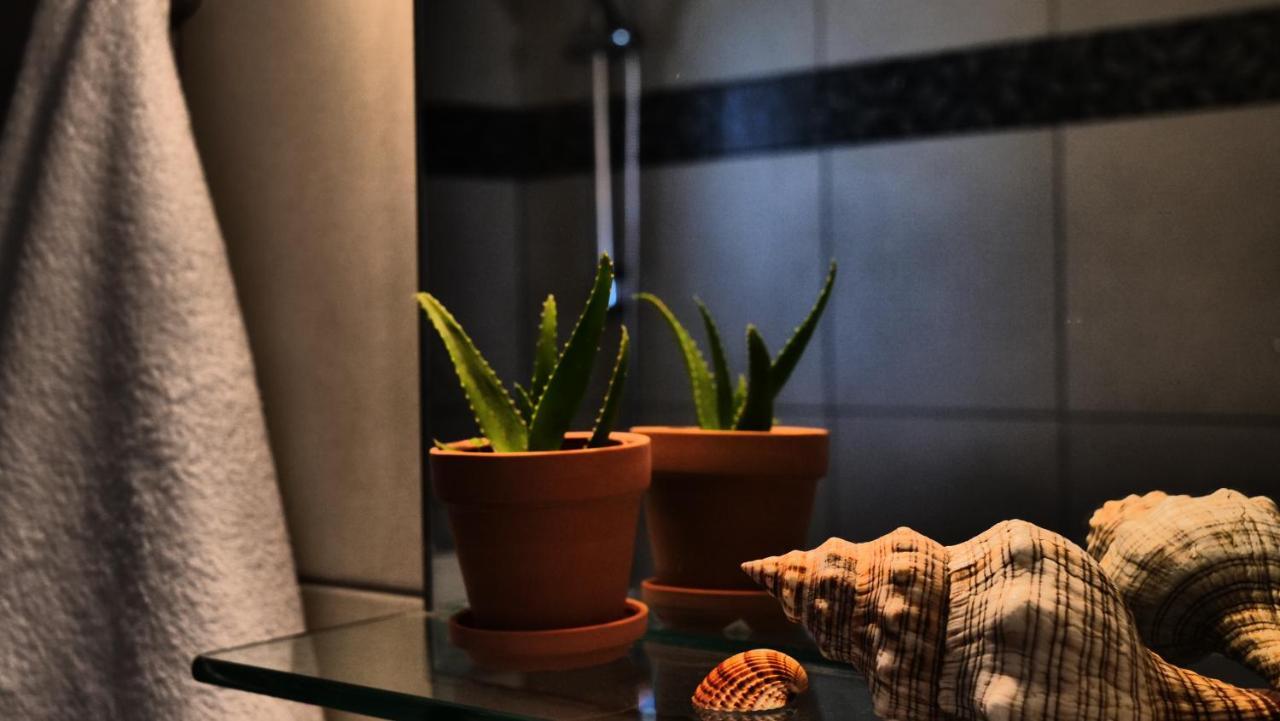 Thea Apartment Agia Marina Екстериор снимка